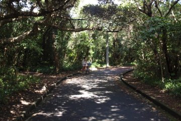 Easy riding, Shikine-jima by bike
