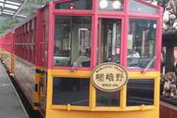 Trolley Car or Train?