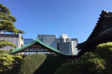 Kokyo Higashi Gyoen à Tokyo