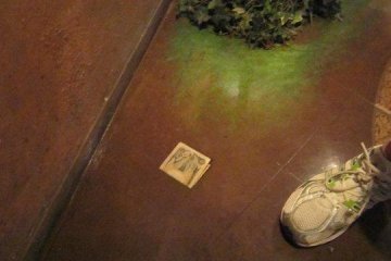 The foot is real, but the money isn't.