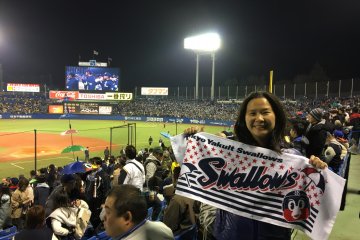 Go! Go! Swallows! Even if you don't know the songs, just follow along with the chants.