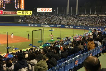 One fan had a 4-tiered umbrella. That is dedication!