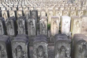 It looks like the statues are occasionally replaced
