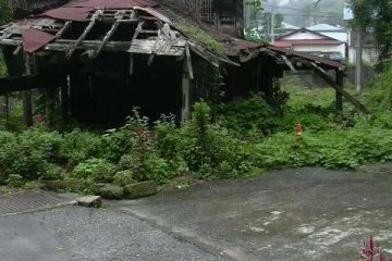 Of all the places I took my mother in Japan, she liked Ohya best. We went there by bicycle. Greenery is abundant and seems to taking over. We saw quite a few derelict homes like this. The stone industry was far bigger years ago