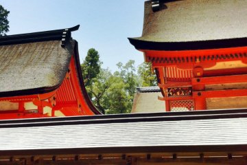 Oyamazumi Shrine buildings