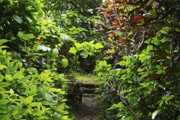 Sueyoshi Koen à Okinawa