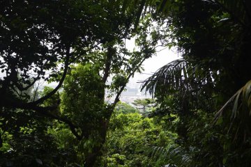 La ville vue du parc