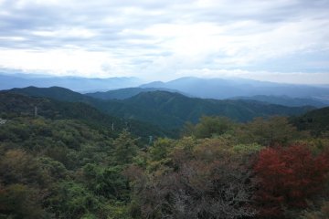 From the top of Mt Kongo
