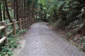 The trail up the mountain