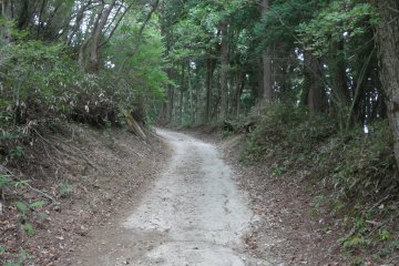 The trail is actually quite steep!