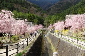 The village is easily reached by bus from Kawaguchiko Station