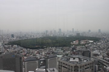 Discovering Meiji Shrine