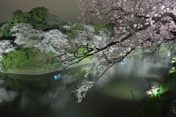 Chidorigafuchi Moat
