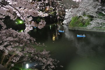 Lots of row boats in Chidorigafuchi Moat even at night