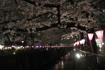 Lanterns along the Meguro River