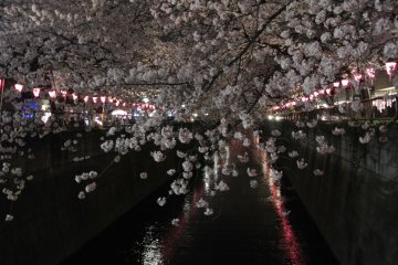 Meguro River