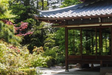 A sunny spring day at the garden.