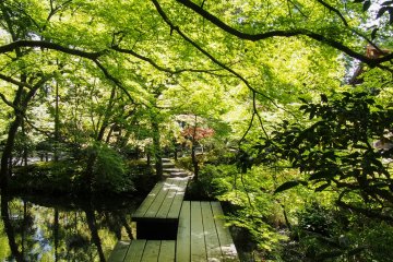 A sunny spring day at the gardens.