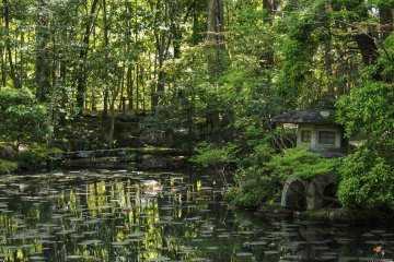 Lush trees and lily pads fill the garden.
