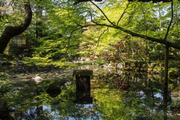 A sunny spring day at the garden.