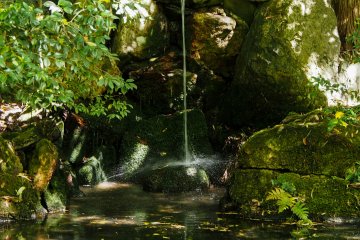 The sound of this small waterfall and maybe a few birds chirping is all you can hear.