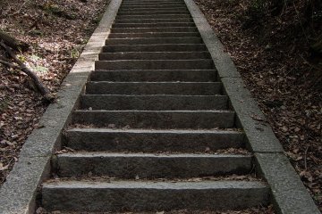 Talk about a stair-master...