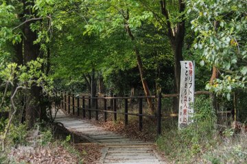 Stairs, stairs, and more stairs...