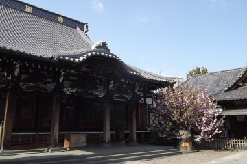 The main hall