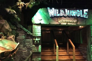 Un tour dans la jungle avec une jeep ?
