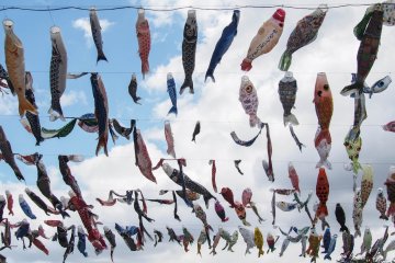 Carp-streamers fill the sky.