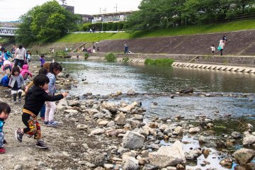 Skipping rocks!