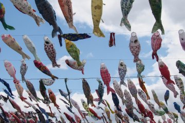 Carp-streamers fill the sky.