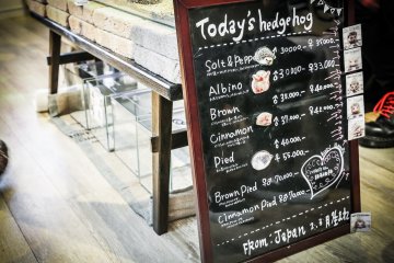 El menú de erizos del día