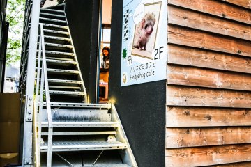 La entrada al Harry. Asegúrate de hacer reservación previamente.