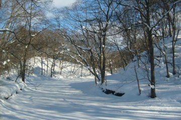 <p>Maybe a path, maybe a stream</p>