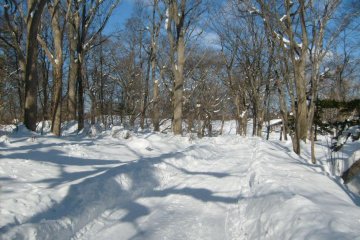 <p>The only sound was me tramping along the paths through the trees</p>