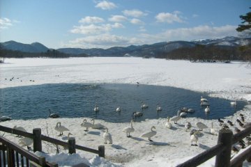 Winter at Lake Onuma