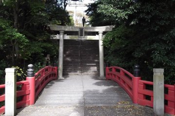 There are more gates on the way up