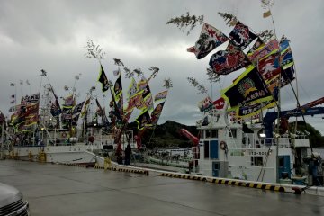 Fishing boats parade in Ofunato