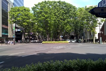 Sendai, the city of trees