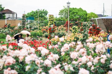 Le Parc Wakasono
