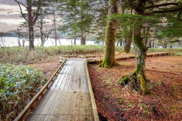  For anyone interested in seeing this lake there is a 3 kilometer walking course which spans the entire lake, taking about an hour to complete 