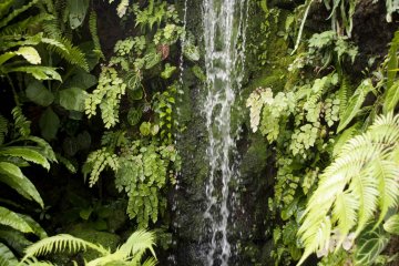 Manmade waterfall in the garden