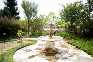 Mediterranean garden