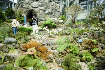 Alpine House
