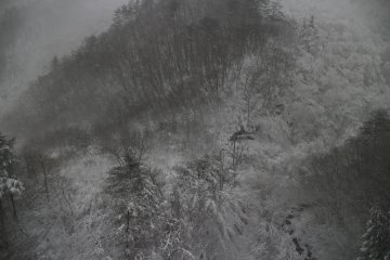 One of the views after snowfall going back to Fukushima from Yamagata