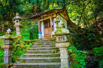 Si vous explorez la montagne, vous trouverez peut-être de petits joyaux tels que celui-ci
