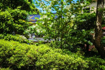 Le jardin de l'un des nombreux ryokan traditionnels