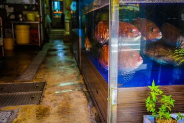Il y a de nombreux marchés de poisson avec restaurant à l'étage