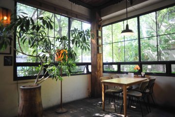Bird Cafe